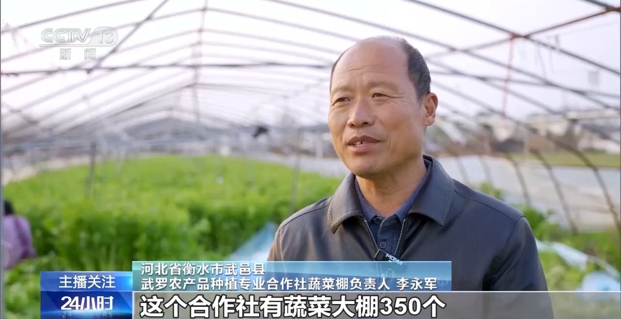 被 寒潮下蔬菜这样稳产保供九游会j9登录蔬菜也要盖棉