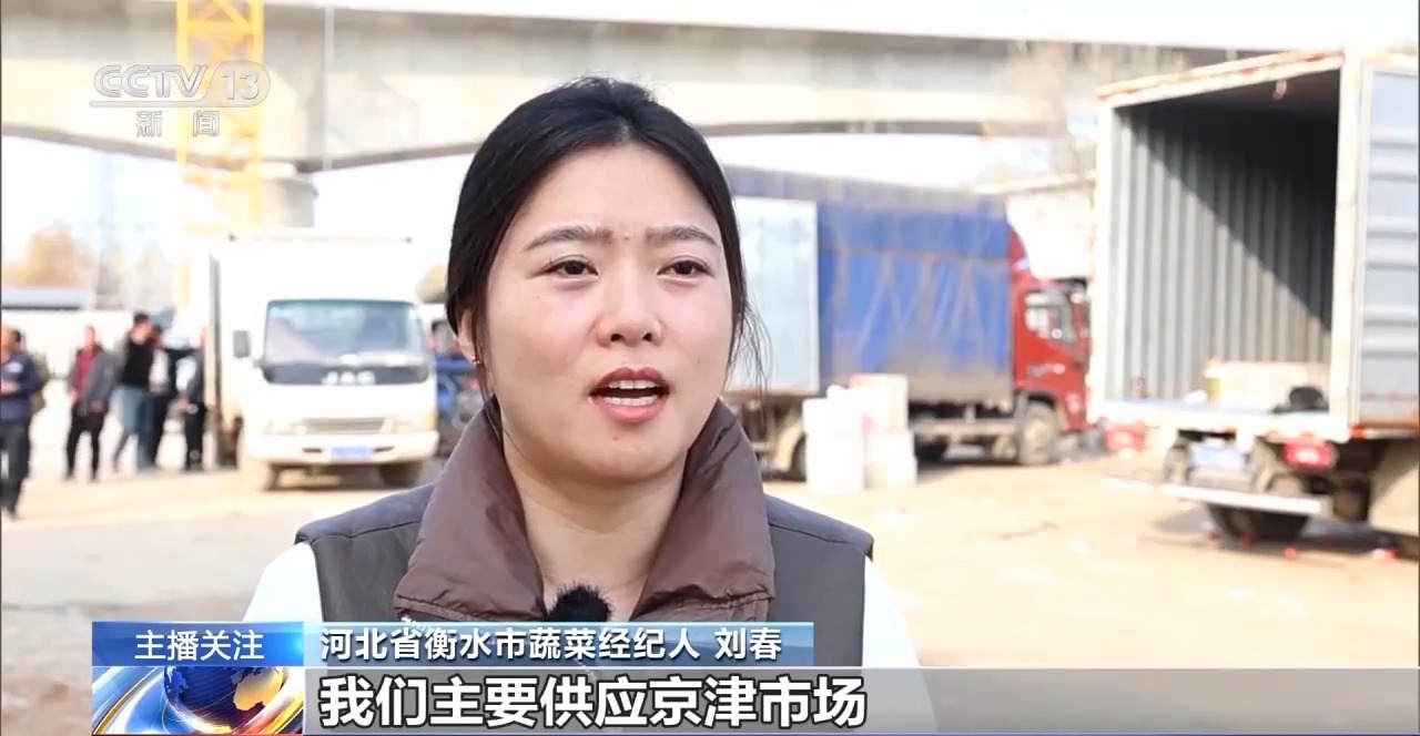 被 寒潮下蔬菜这样稳产保供九游会j9登录蔬菜也要盖棉(图2)