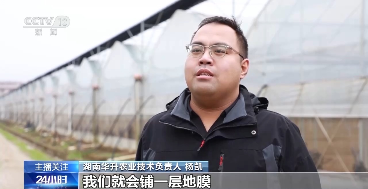 被 寒潮下蔬菜这样稳产保供九游会j9登录蔬菜也要盖棉(图11)