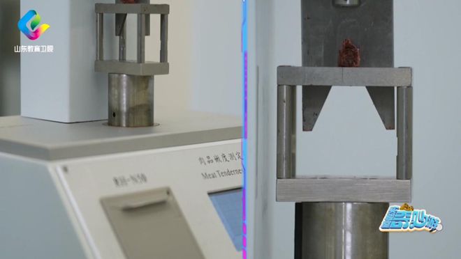 》走进海尔冰箱感受保鲜创新力量！j9九游会入口首页《实验室奇妙游(图8)