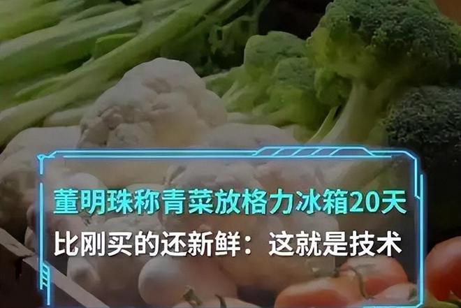 珠与孟羽童分开不过两年输赢已见分晓九游会j9登录有一种“算计”叫董明(图14)